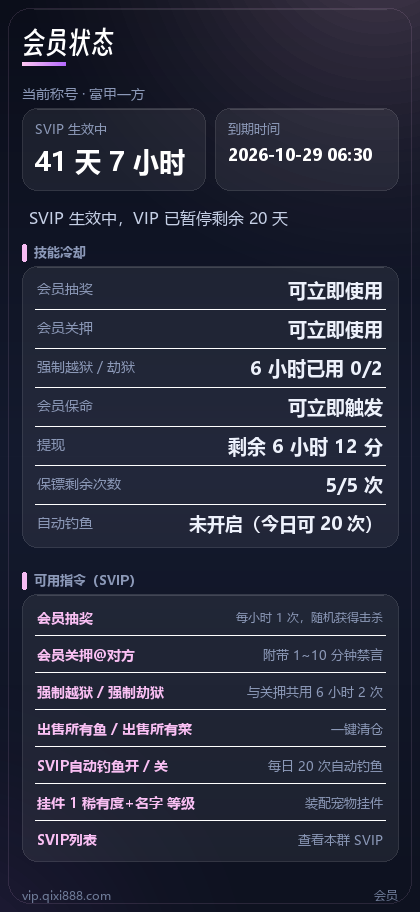 会员（VIP / SVIP） 卡片示例